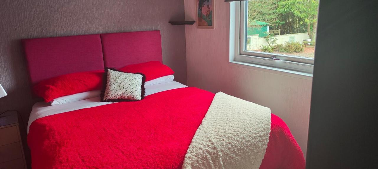 The Cabin Quiet Relaxing And Dog Friendly Mauchline Ngoại thất bức ảnh